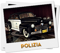 Veicoli della polizia